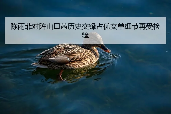 陈雨菲对阵山口茜历史交锋占优女单细节再受检验